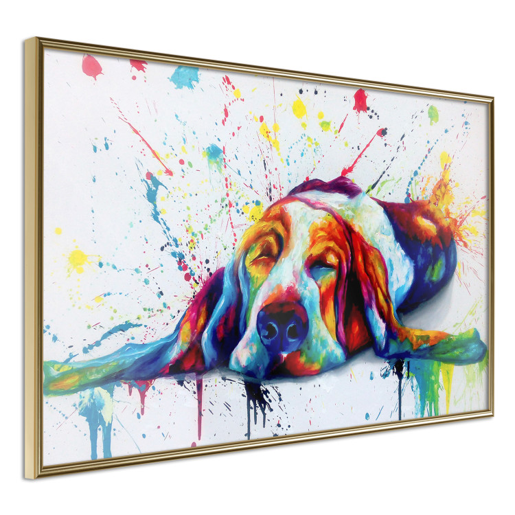 Poster Sleeping Dog - colorful animal on a white background in an abstract style 126983 additionalImage 12
