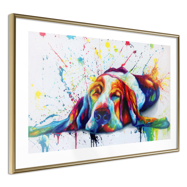 Poster Sleeping Dog - colorful animal on a white background in an abstract style 126983 additionalImage 7