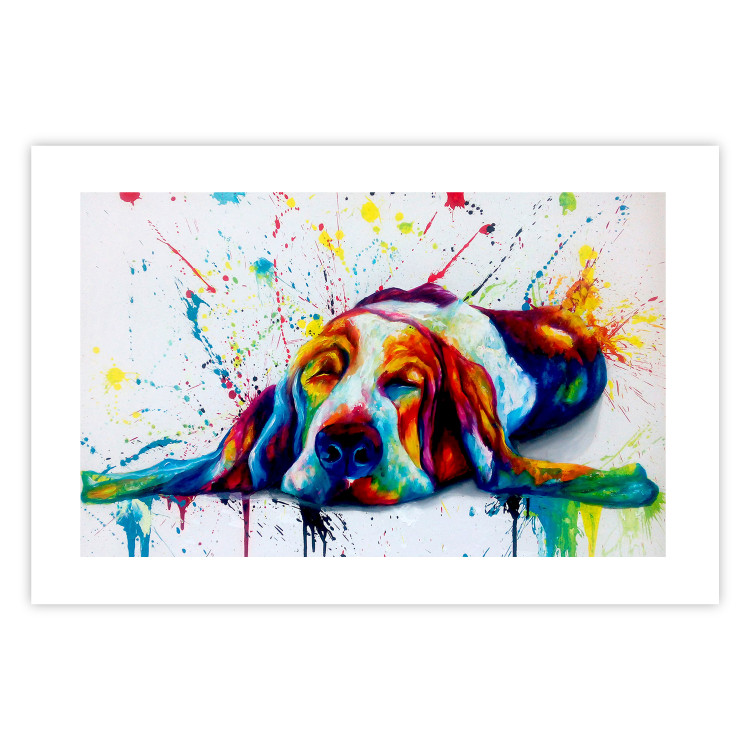 Poster Sleeping Dog - colorful animal on a white background in an abstract style 126983 additionalImage 19