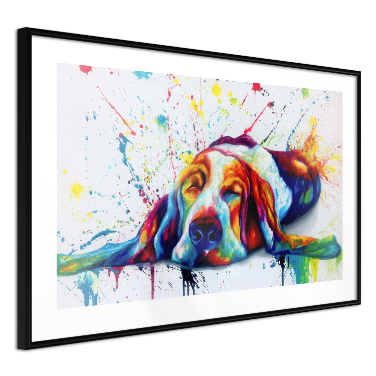 Poster Sleeping Dog - colorful animal on a white background in an abstract style 126983 additionalImage 6