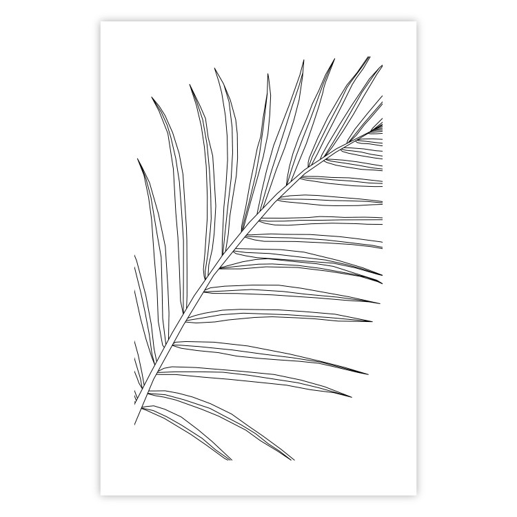 Poster Black and White Palm Leaf - black line art of palm leaf on white background 128083 additionalImage 19