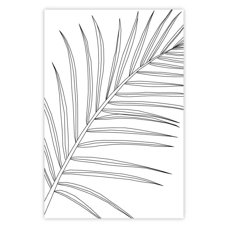 Poster Black and White Palm Leaf - black line art of palm leaf on white background 128083