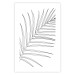 Poster Black and White Palm Leaf - black line art of palm leaf on white background 128083 additionalThumb 19