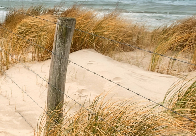 Large canvas print Windy Beach [Large Format] 128683 additionalImage 4