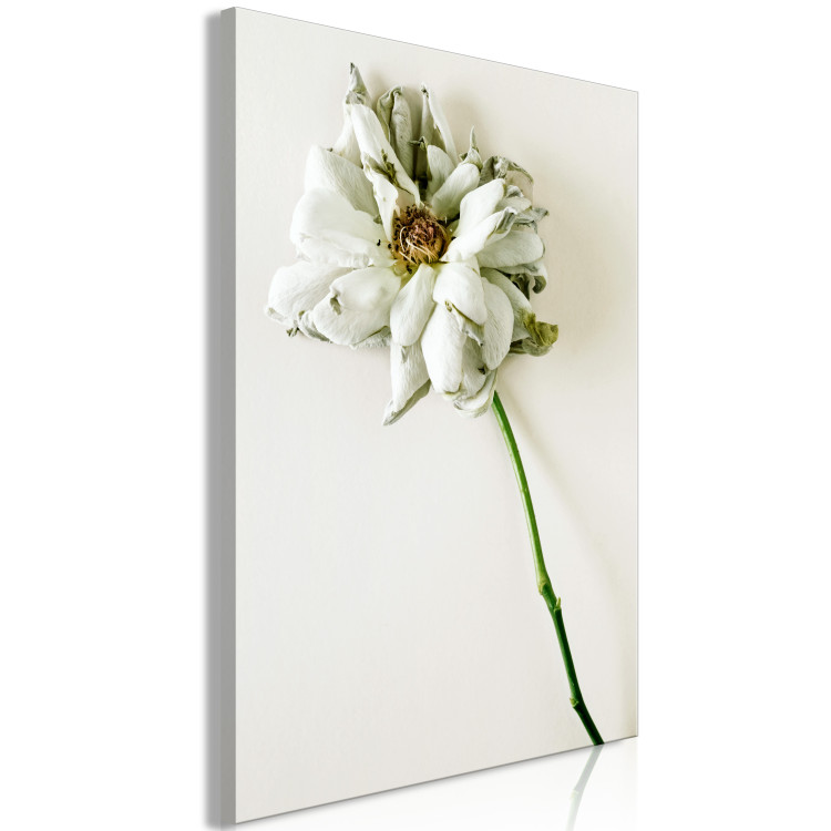 Canvas Dried Memory (1-piece) Vertical - flower on white background 130283 additionalImage 2