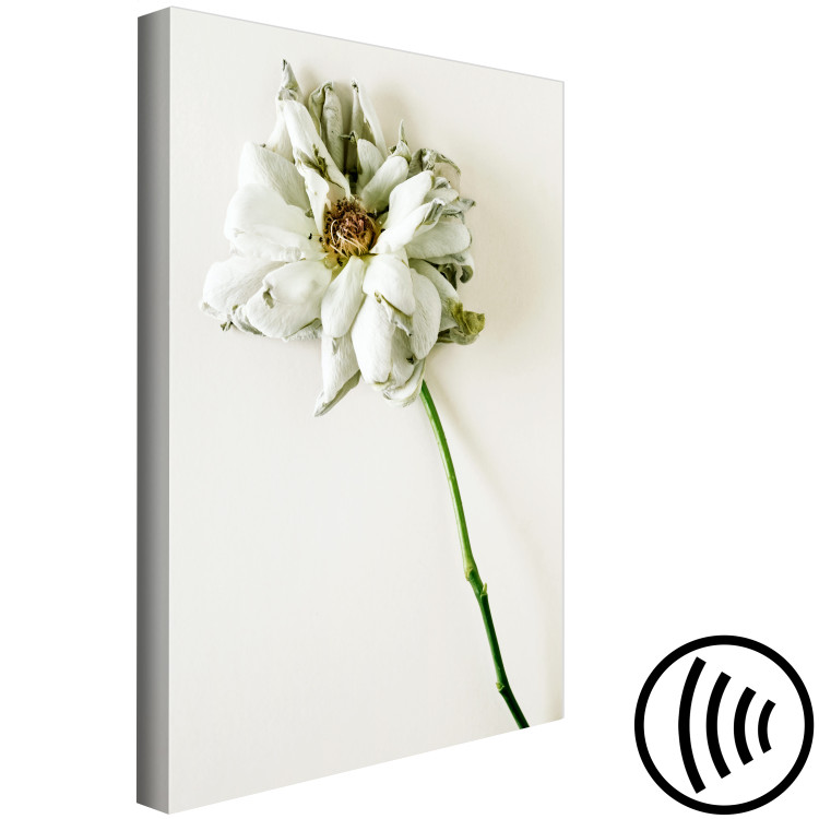 Canvas Dried Memory (1-piece) Vertical - flower on white background 130283 additionalImage 6