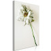 Canvas Dried Memory (1-piece) Vertical - flower on white background 130283 additionalThumb 2