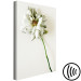 Canvas Dried Memory (1-piece) Vertical - flower on white background 130283 additionalThumb 6