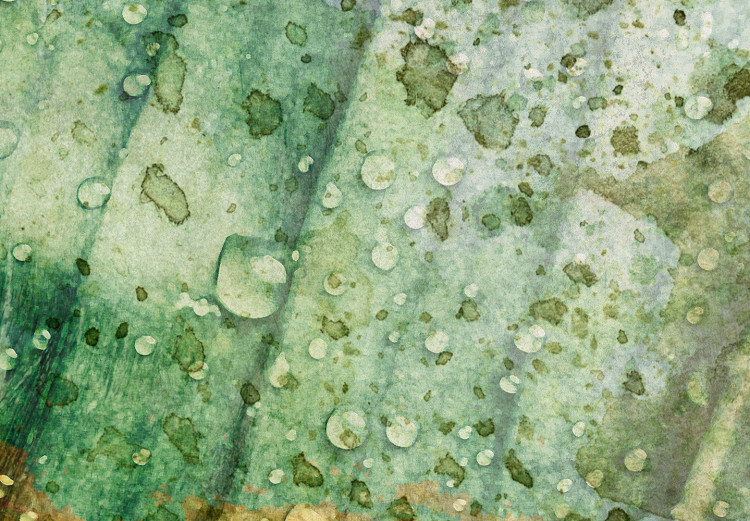 Canvas Print Rain drops on a leaf - Botanical theme in green color 135783 additionalImage 5