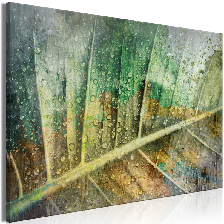 Canvas Print Rain drops on a leaf - Botanical theme in green color 135783 additionalImage 2