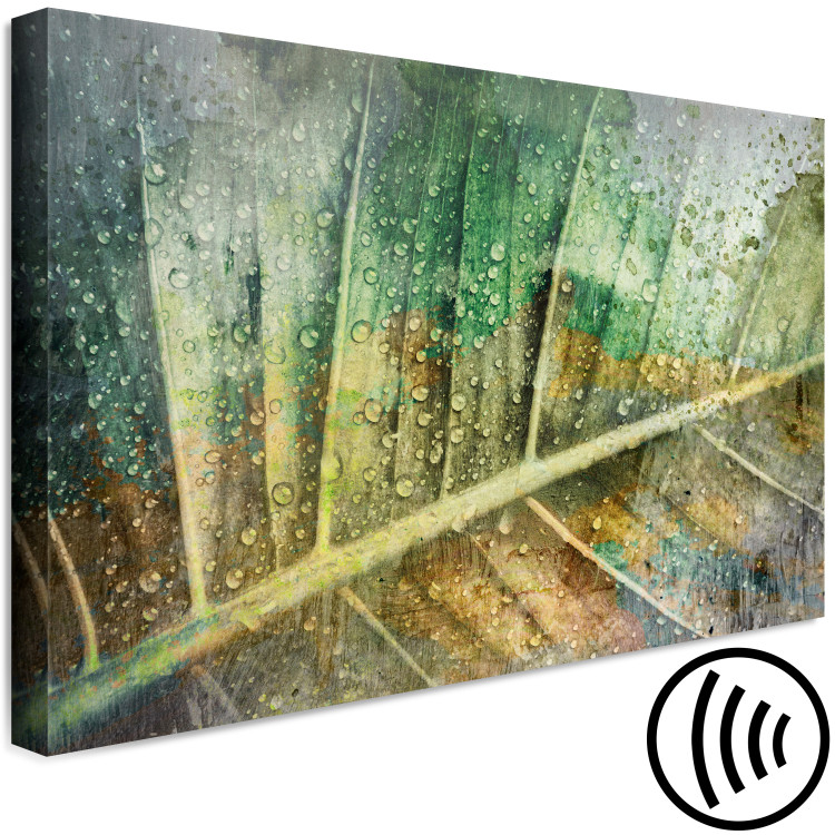 Canvas Print Rain drops on a leaf - Botanical theme in green color 135783 additionalImage 6