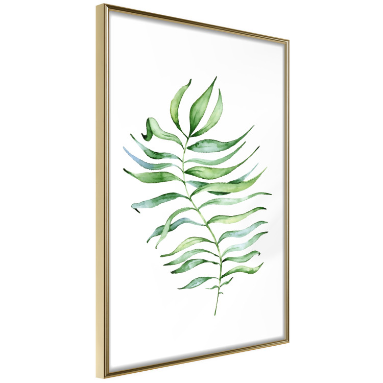 Poster Dancing Leaf - watercolor composition with green leaves on white 136383 additionalImage 23