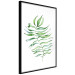 Poster Dancing Leaf - watercolor composition with green leaves on white 136383 additionalThumb 17