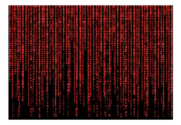 Wall Mural Red digital rain - matrix movie theme of numbers on black background 90183 additionalImage 1