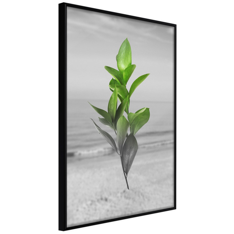 Wall Poster Green Branches - Living leaves on a background of a gray seascape 114393 additionalImage 12