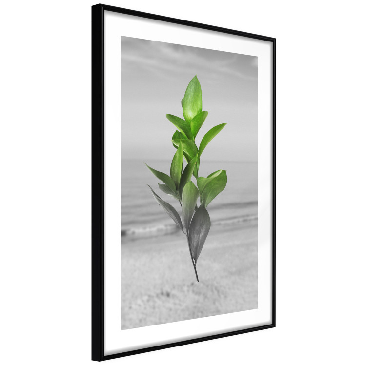 Wall Poster Green Branches - Living leaves on a background of a gray seascape 114393 additionalImage 13