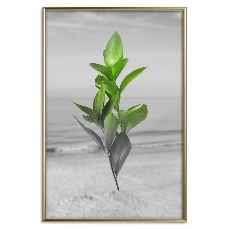 Wall Poster Green Branches - Living leaves on a background of a gray seascape 114393 additionalImage 20