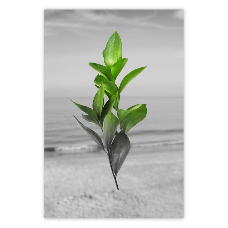 Wall Poster Green Branches - Living leaves on a background of a gray seascape 114393