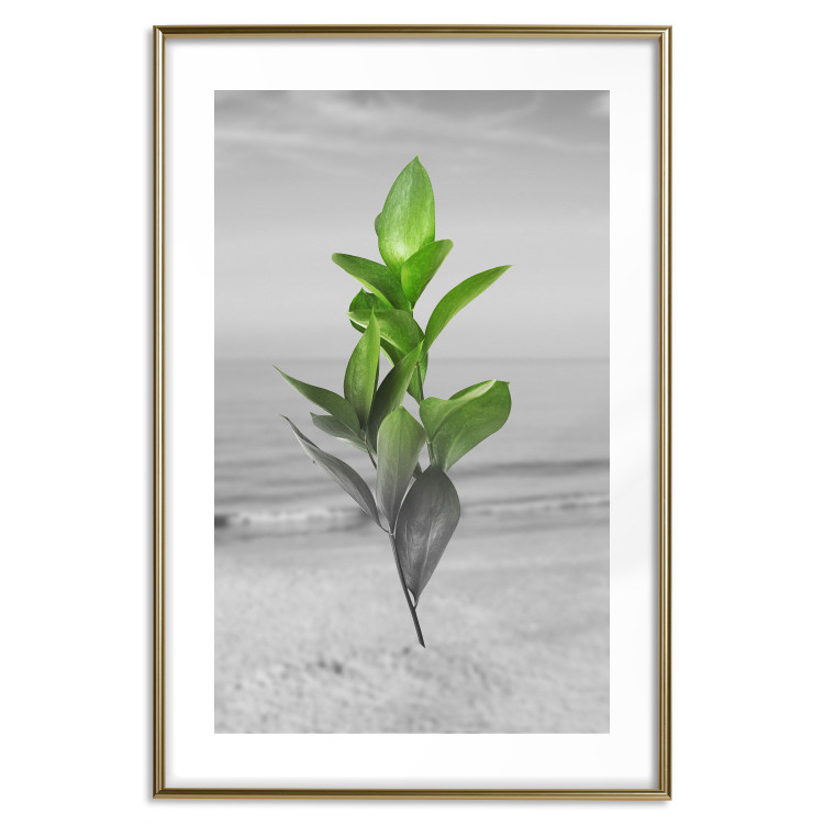 Wall Poster Green Branches - Living leaves on a background of a gray seascape 114393 additionalImage 16