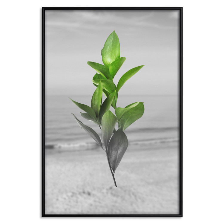 Wall Poster Green Branches - Living leaves on a background of a gray seascape 114393 additionalImage 24
