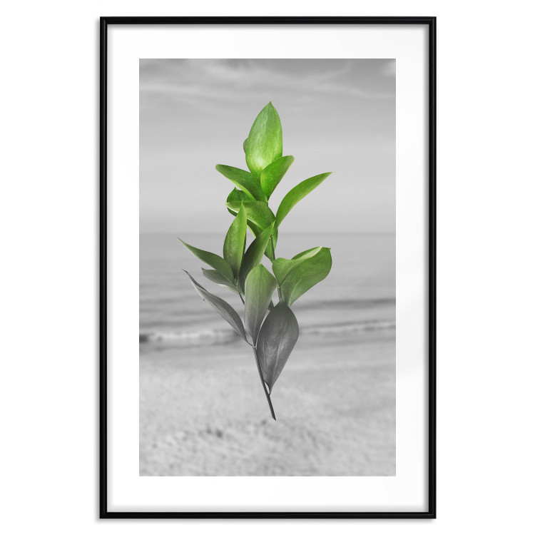 Wall Poster Green Branches - Living leaves on a background of a gray seascape 114393 additionalImage 17
