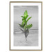Wall Poster Green Branches - Living leaves on a background of a gray seascape 114393 additionalThumb 16
