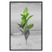 Wall Poster Green Branches - Living leaves on a background of a gray seascape 114393 additionalThumb 24
