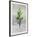 Wall Poster Green Branches - Living leaves on a background of a gray seascape 114393 additionalThumb 3