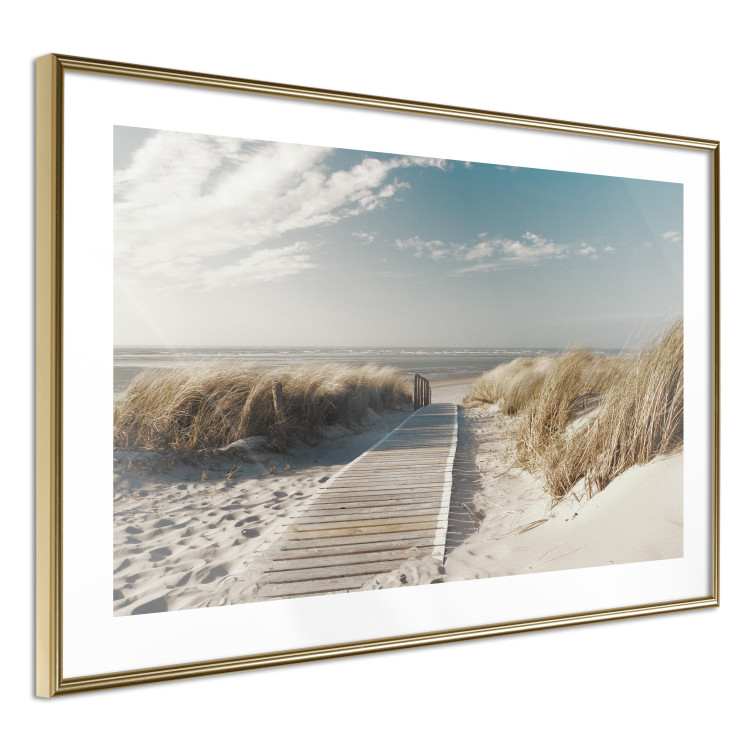 Wall Poster Abandoned Beach - wooden path on beach against sea and sky background 123993 additionalImage 8