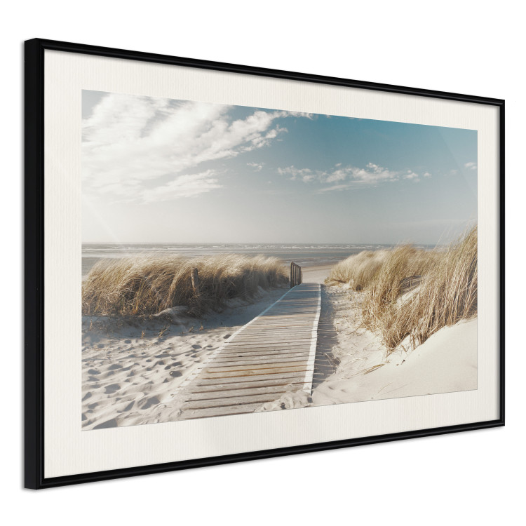 Wall Poster Abandoned Beach - wooden path on beach against sea and sky background 123993 additionalImage 3
