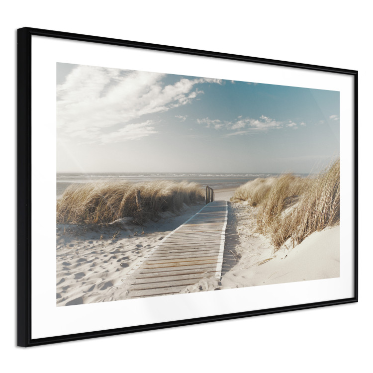 Wall Poster Abandoned Beach - wooden path on beach against sea and sky background 123993 additionalImage 11