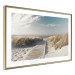 Wall Poster Abandoned Beach - wooden path on beach against sea and sky background 123993 additionalThumb 8