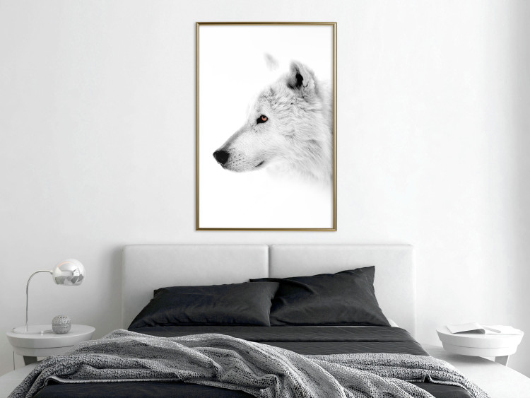 Poster Amber Gaze - portrait of a wolf with a yellow eye on a white background 126293 additionalImage 7
