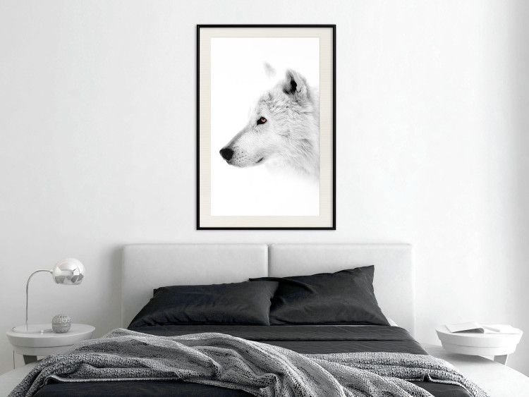 Poster Amber Gaze - portrait of a wolf with a yellow eye on a white background 126293 additionalImage 24