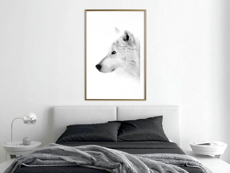 Poster Amber Gaze - portrait of a wolf with a yellow eye on a white background 126293 additionalImage 15