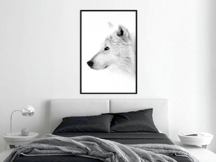 Poster Amber Gaze - portrait of a wolf with a yellow eye on a white background 126293 additionalImage 4
