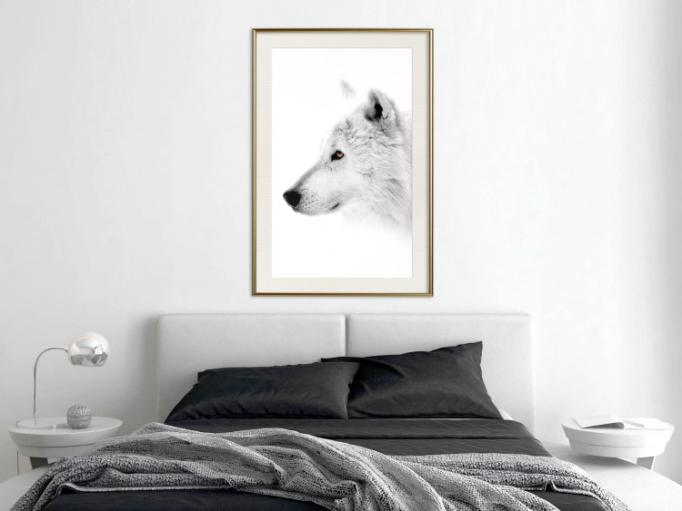 Poster Amber Gaze - portrait of a wolf with a yellow eye on a white background 126293 additionalImage 22