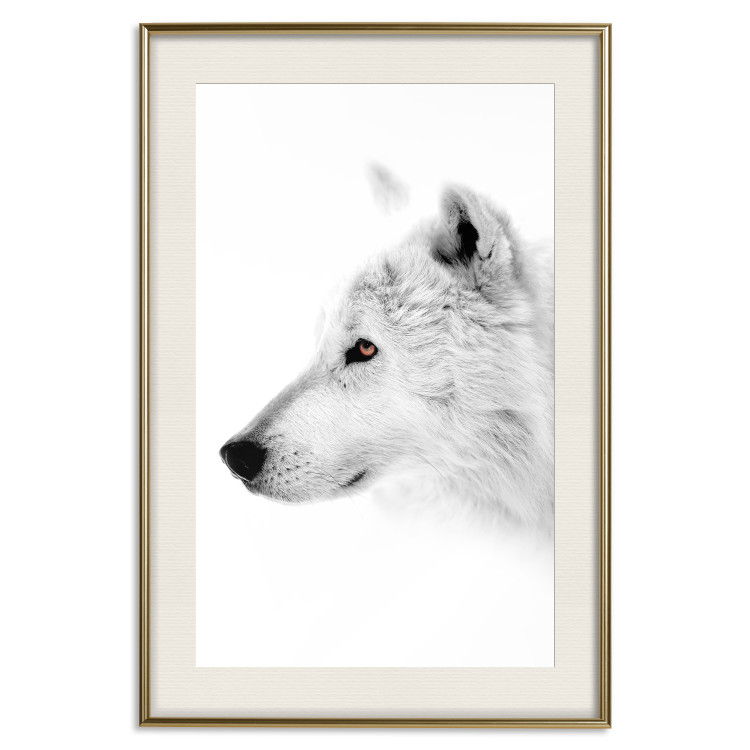Poster Amber Gaze - portrait of a wolf with a yellow eye on a white background 126293 additionalImage 20