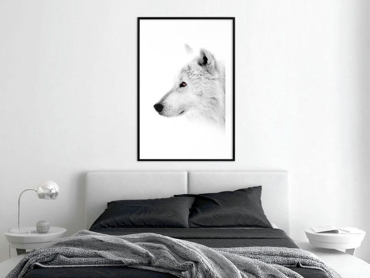 Poster Amber Gaze - portrait of a wolf with a yellow eye on a white background 126293 additionalImage 18