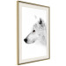 Poster Amber Gaze - portrait of a wolf with a yellow eye on a white background 126293 additionalThumb 3