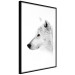 Poster Amber Gaze - portrait of a wolf with a yellow eye on a white background 126293 additionalThumb 6