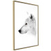 Poster Amber Gaze - portrait of a wolf with a yellow eye on a white background 126293 additionalThumb 7
