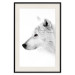 Poster Amber Gaze - portrait of a wolf with a yellow eye on a white background 126293 additionalThumb 19