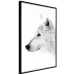 Poster Amber Gaze - portrait of a wolf with a yellow eye on a white background 126293 additionalThumb 13