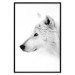 Poster Amber Gaze - portrait of a wolf with a yellow eye on a white background 126293 additionalThumb 16