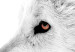Poster Amber Gaze - portrait of a wolf with a yellow eye on a white background 126293 additionalThumb 10