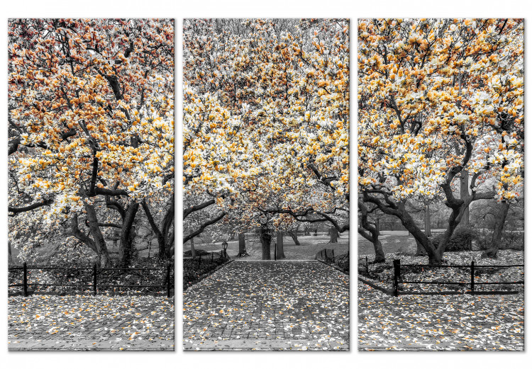 Canvas Blooming Magnolias - triptych with magnolia trees and yellow flowers 128793