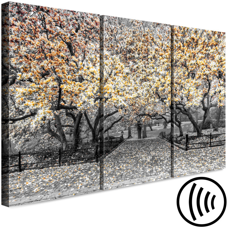 Canvas Blooming Magnolias - triptych with magnolia trees and yellow flowers 128793 additionalImage 6