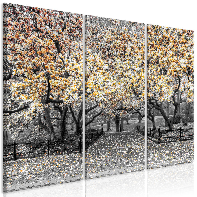 Canvas Blooming Magnolias - triptych with magnolia trees and yellow flowers 128793 additionalImage 2