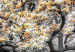 Canvas Blooming Magnolias - triptych with magnolia trees and yellow flowers 128793 additionalThumb 4